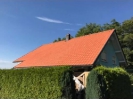 Bilder_114